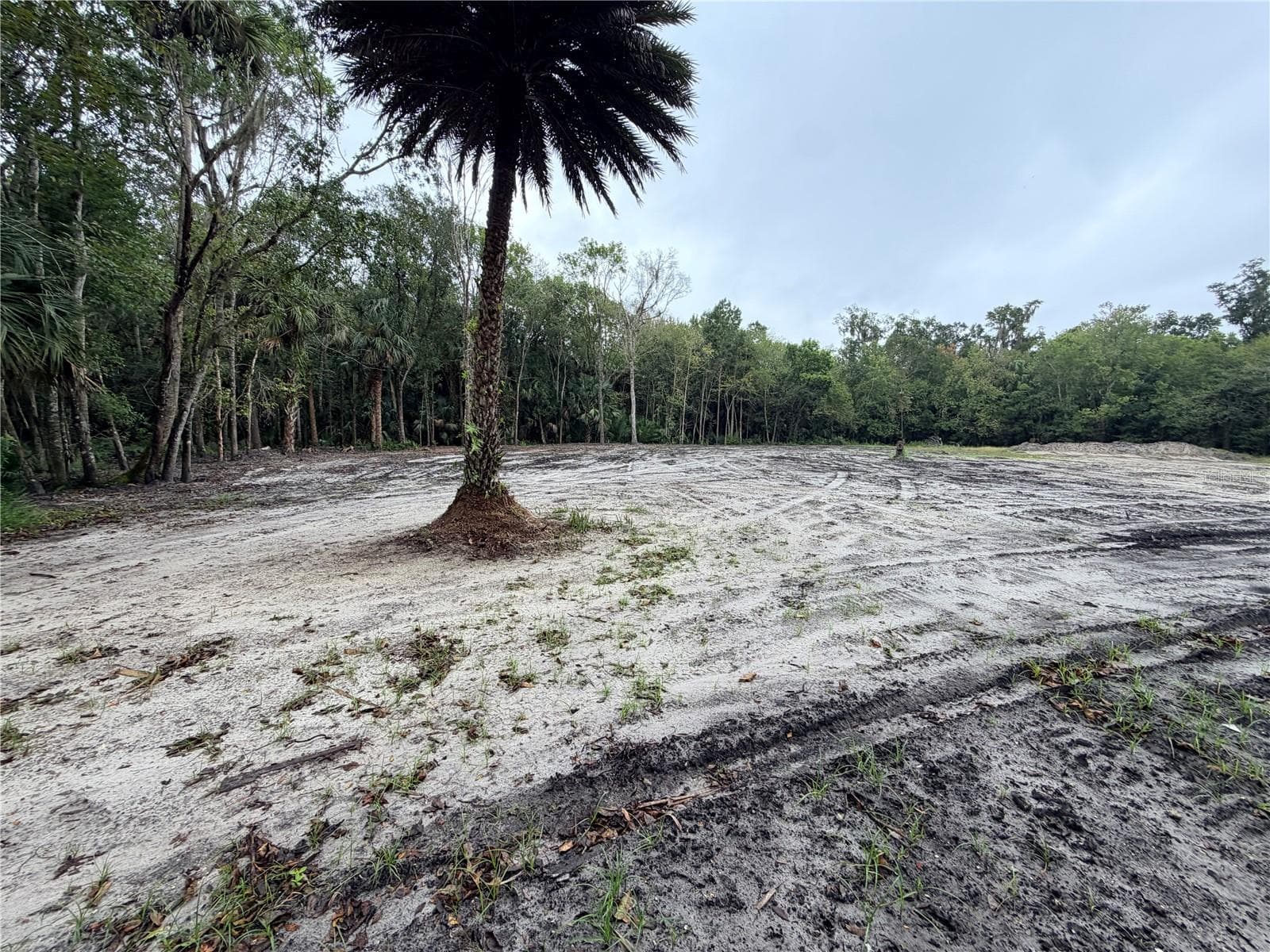 Land at 2295 CANAL ST, OVIEDO, photo 6 of 9