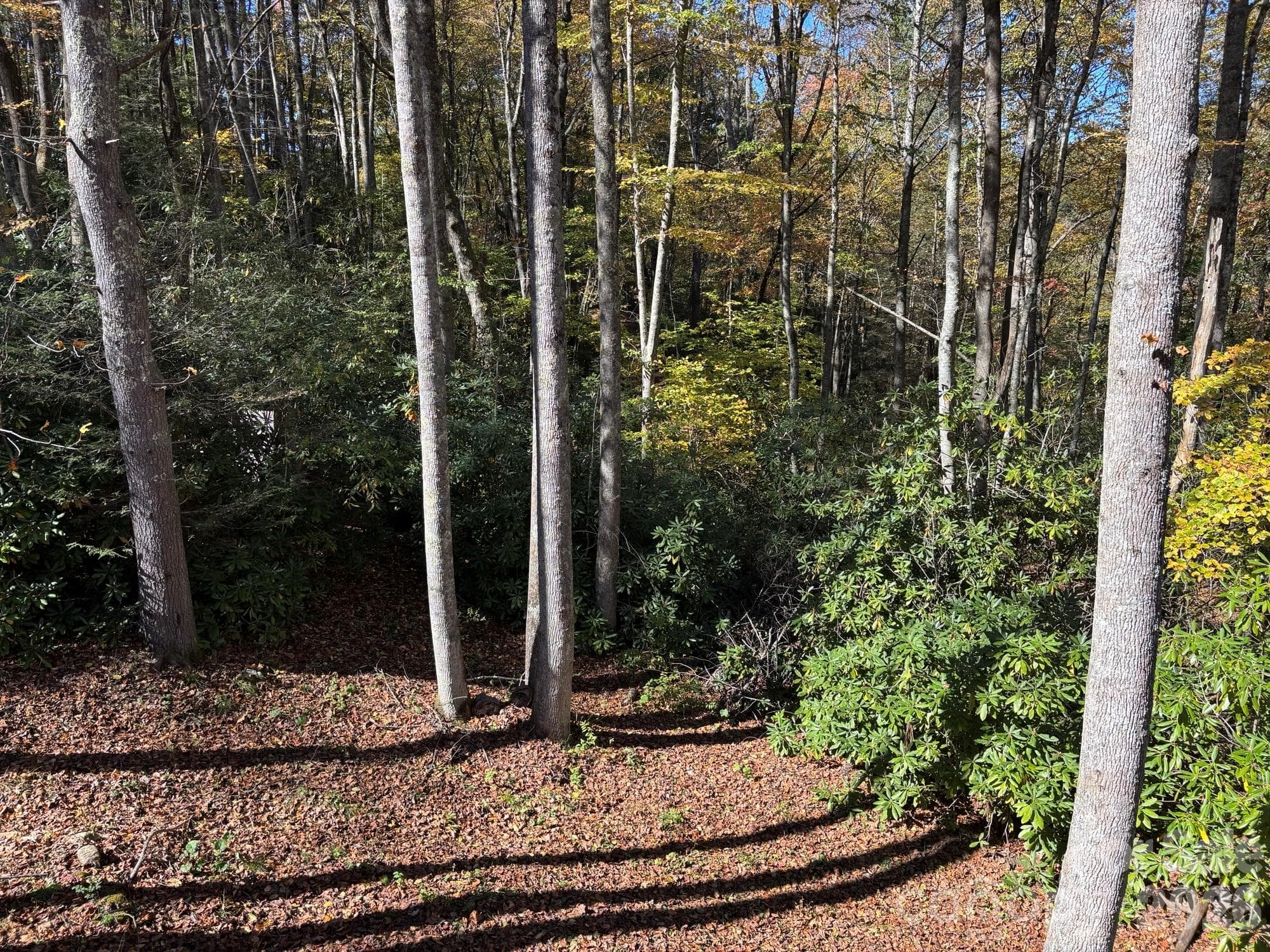 Single Family Residence at 1661 Mckinney Mine Road, Spruce Pine, photo 26 of 26