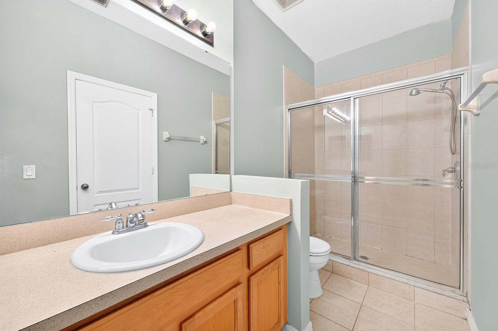 Primary en-suite bath. - 244 CHELSEA DR, DAVENPORT