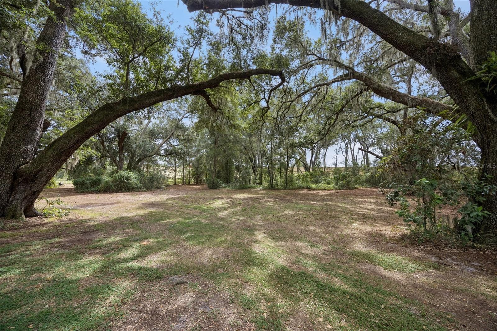 Single Family Residence at 18900 LAKEVIEW DR, CLERMONT, photo 53 of 69