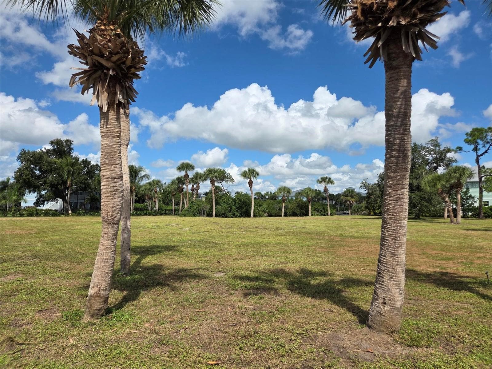 Land at 13125 VIA FLAVIA, PLACIDA, photo 5 of 34
