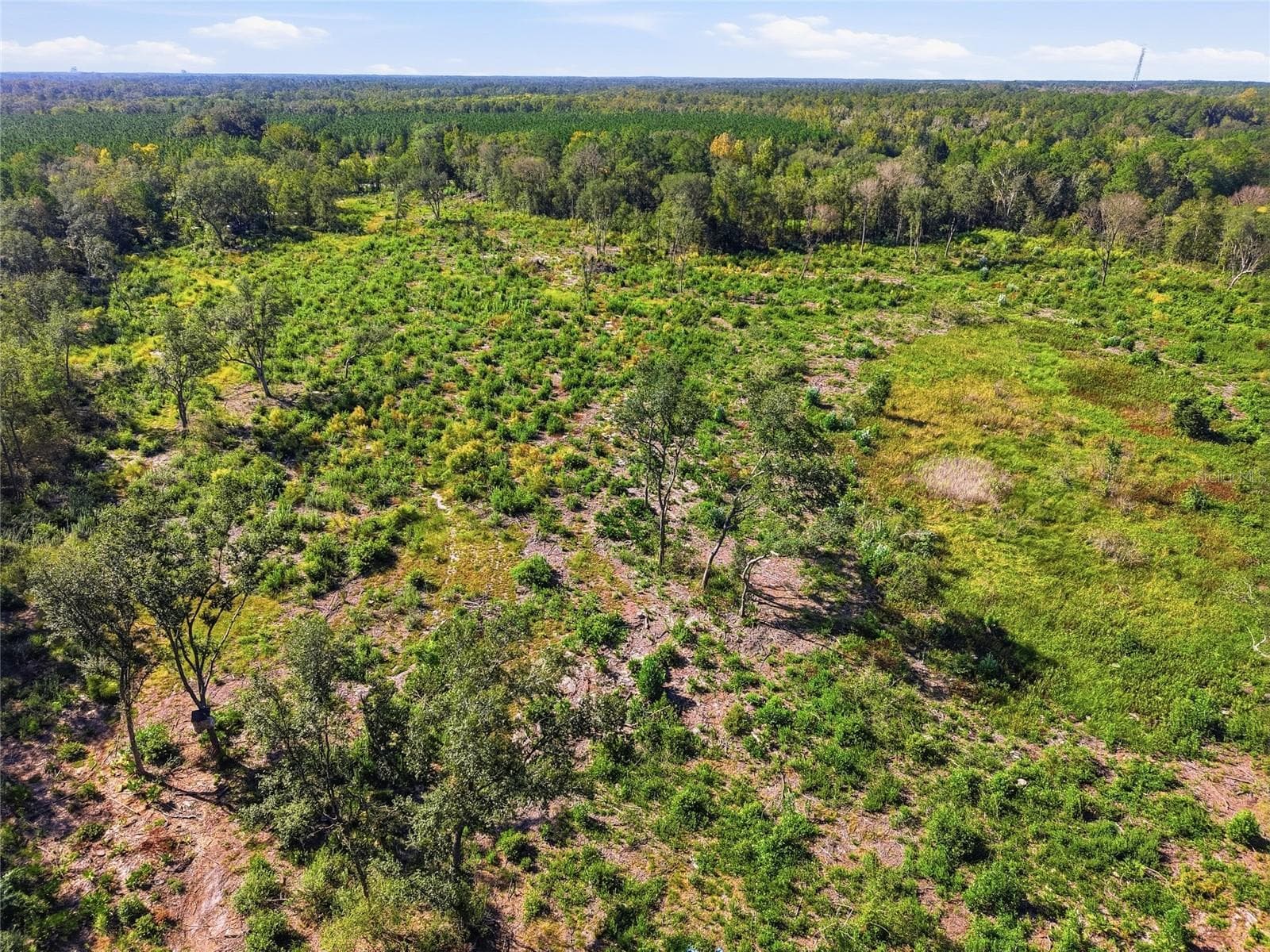 Land at 4408 W STATE ROAD 235, LA CROSSE, photo 11 of 15
