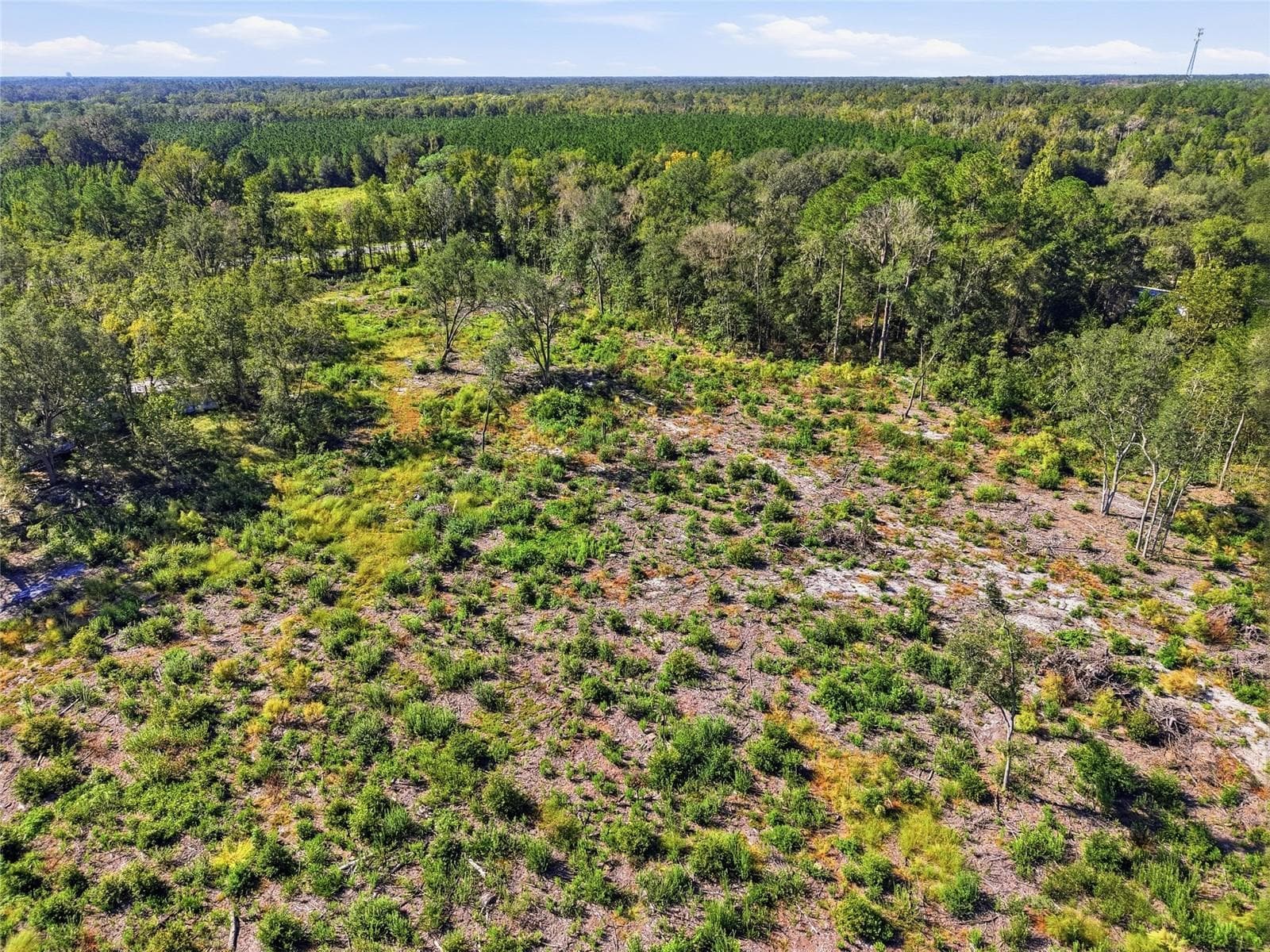 Land at 4408 W STATE ROAD 235, LA CROSSE, photo 12 of 15