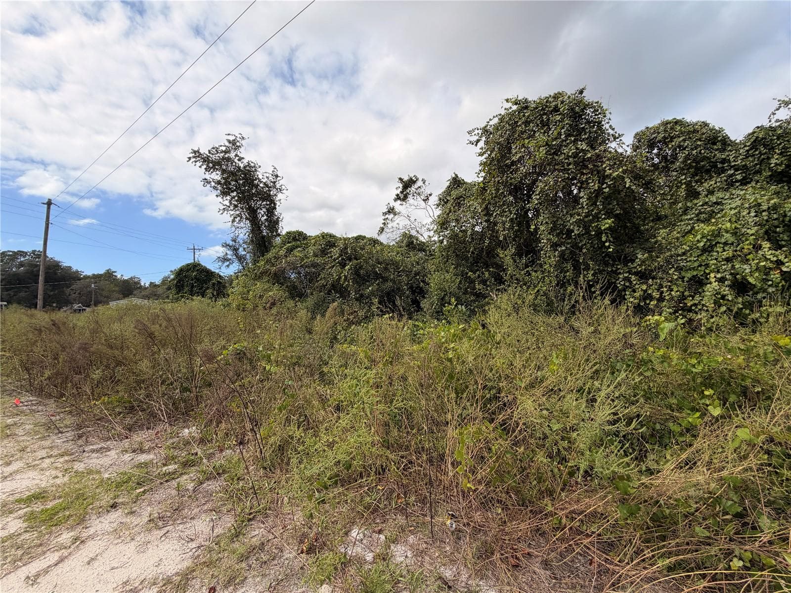 Land at Lot 55 PALMETTO CIR, PAISLEY, photo 3 of 14