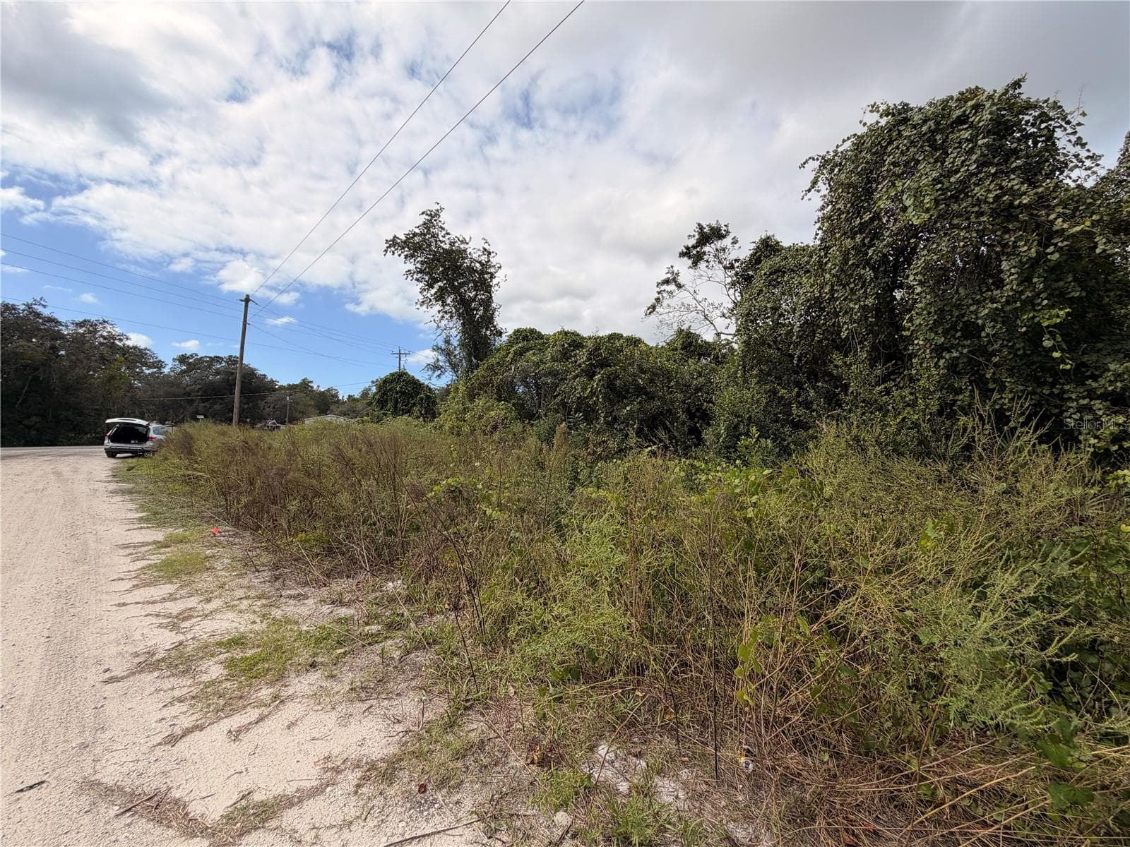 Land at Lot 55 PALMETTO CIR, PAISLEY, photo 4 of 14