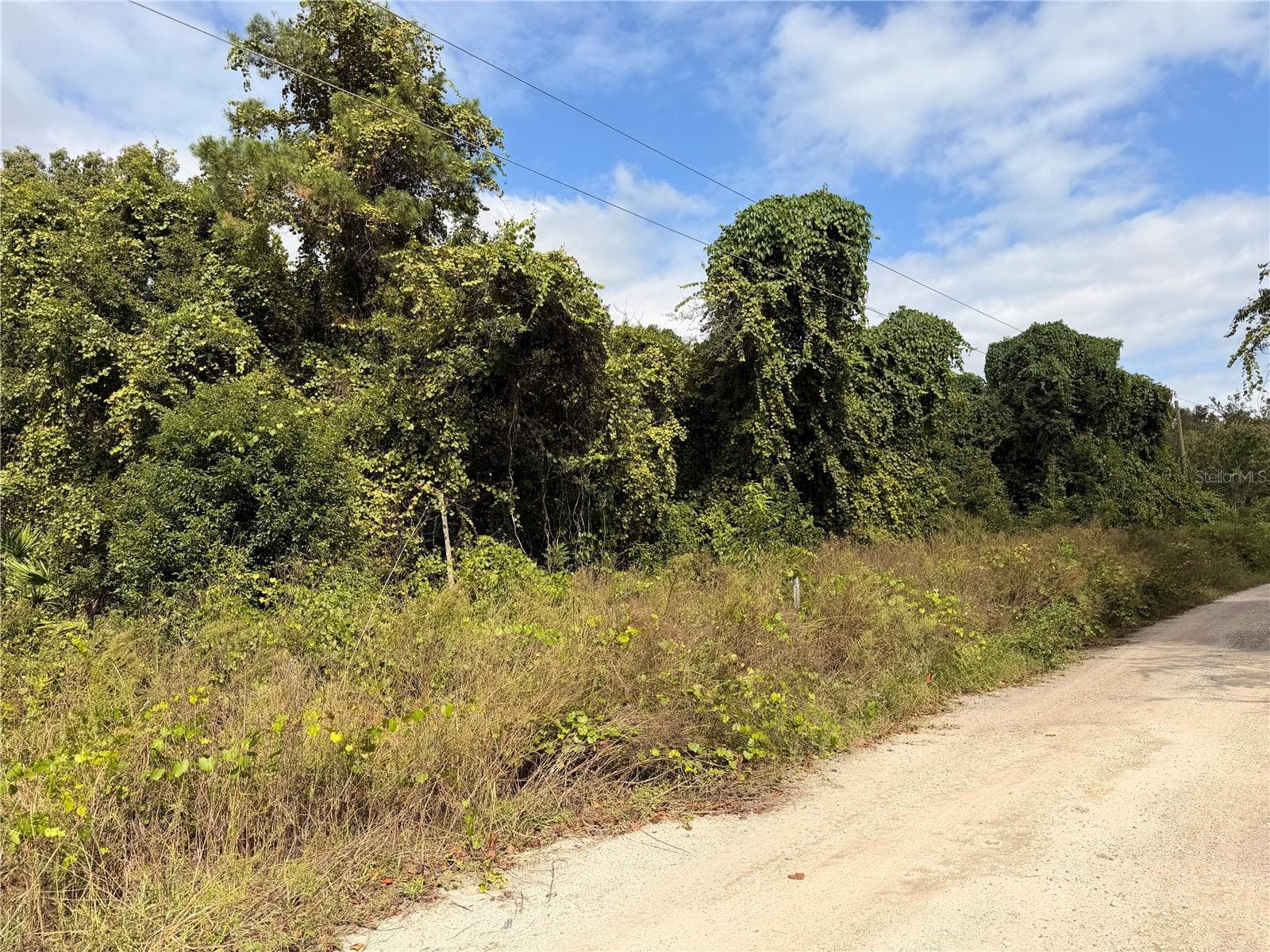 Land at Lot 55 PALMETTO CIR, PAISLEY, photo 7 of 14