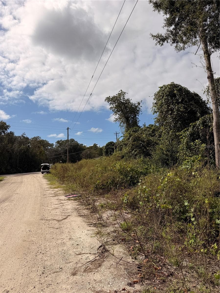 Land at Lot 55 PALMETTO CIR, PAISLEY, photo 9 of 14