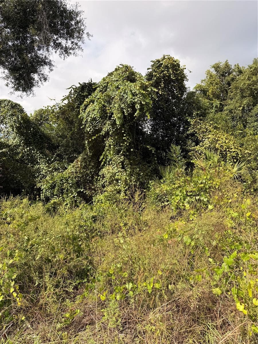Land at Lot 55 PALMETTO CIR, PAISLEY, photo 12 of 14