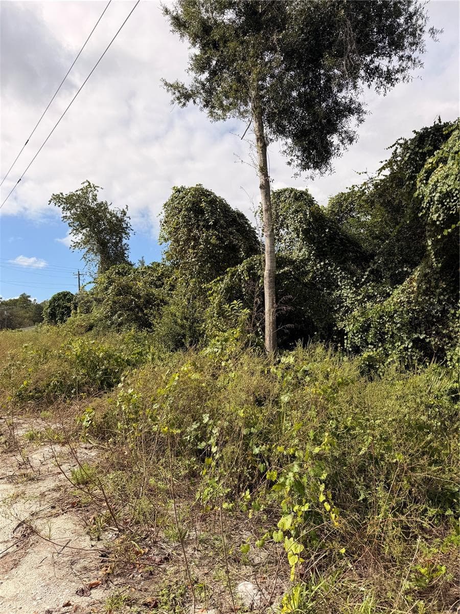 Land at Lot 55 PALMETTO CIR, PAISLEY, photo 13 of 14