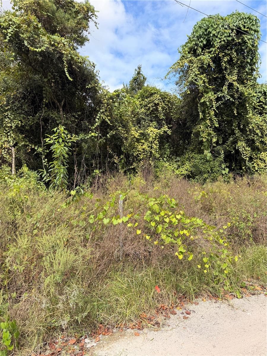 Land at Lot 55 PALMETTO CIR, PAISLEY, photo 14 of 14