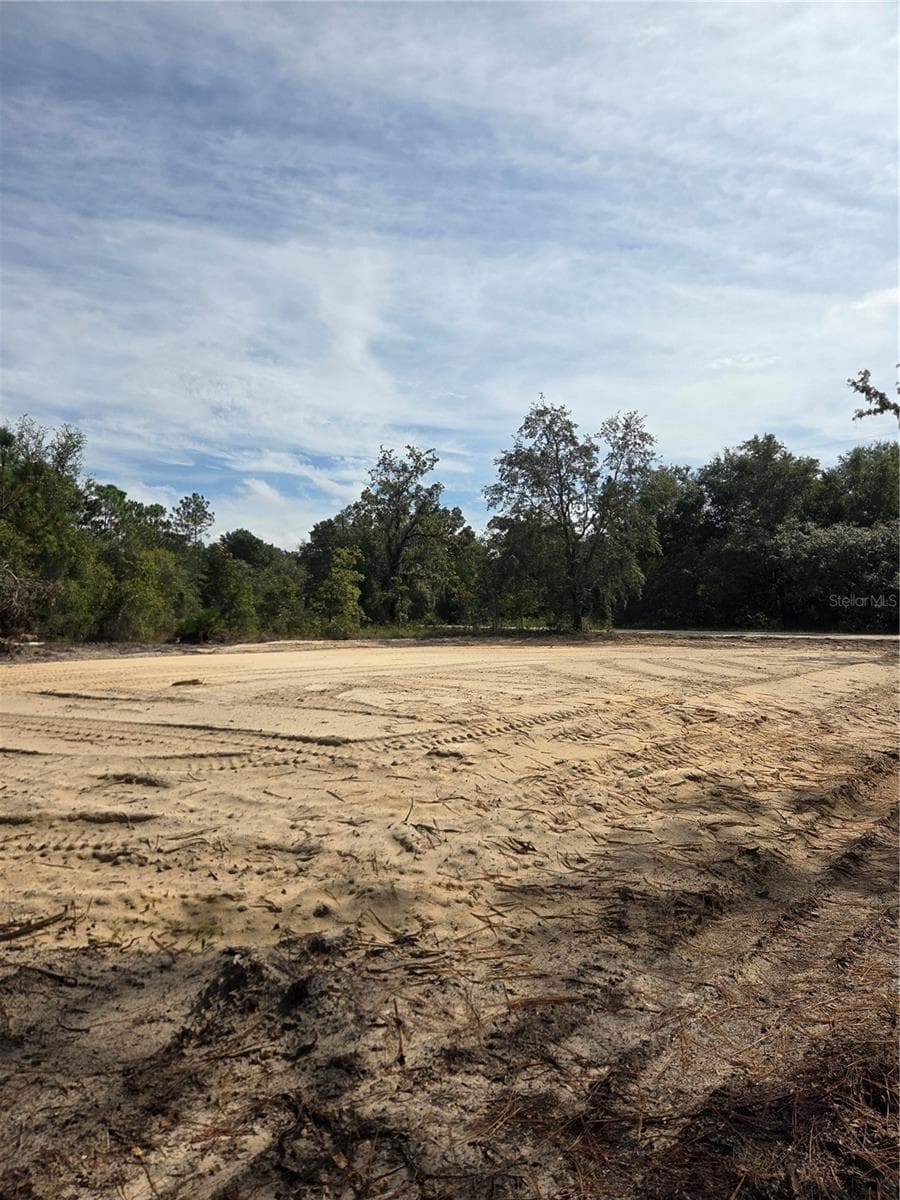 Land at 16147 SHELDRAKE LOOP, WEEKI WACHEE, photo 4 of 6