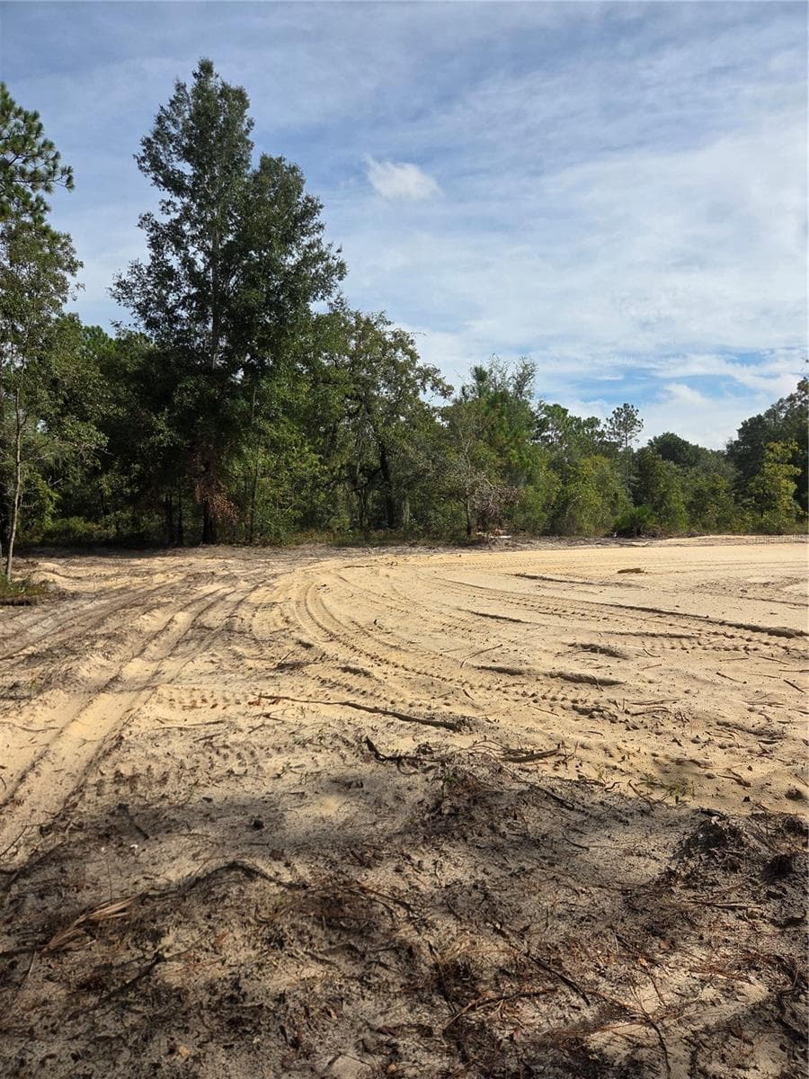 Land at 16147 SHELDRAKE LOOP, WEEKI WACHEE, photo 5 of 6
