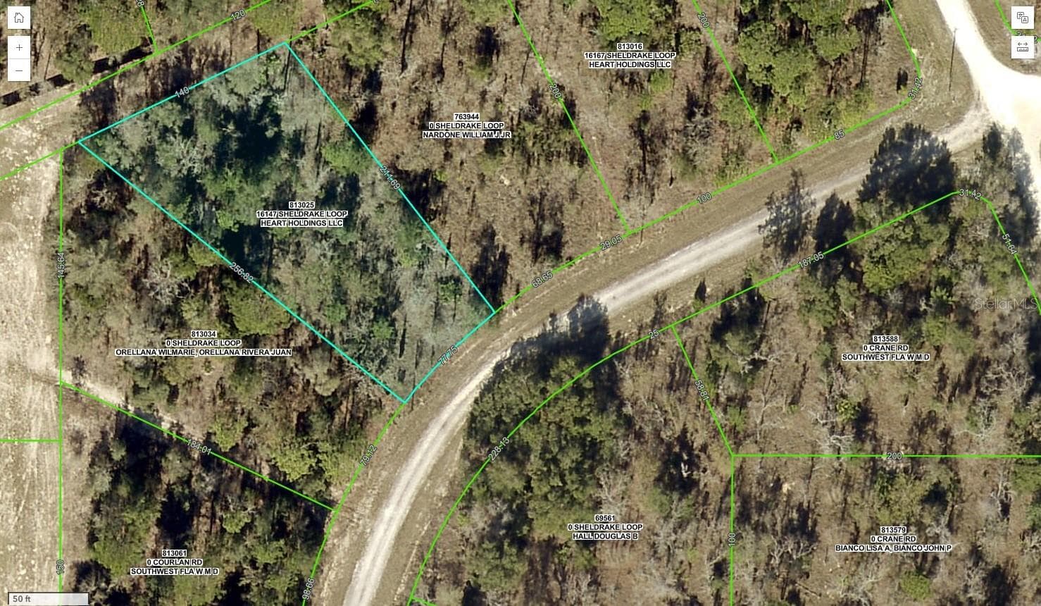 Land at 16147 SHELDRAKE LOOP, WEEKI WACHEE, photo 6 of 6