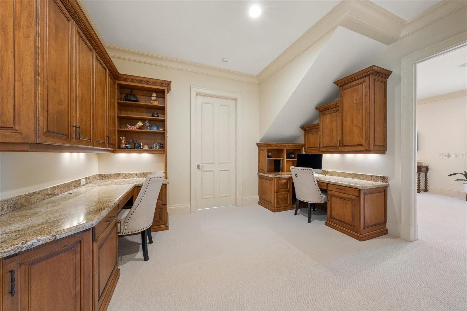 Bonus Room ~ Study/Additional Office Space with Brand New Carpet! - 2056 COVE TRCE, PALM HARBOR