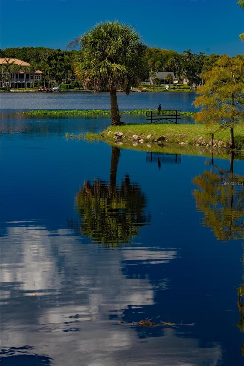 Natural Wildlife Abounds! - 2056 COVE TRCE, PALM HARBOR