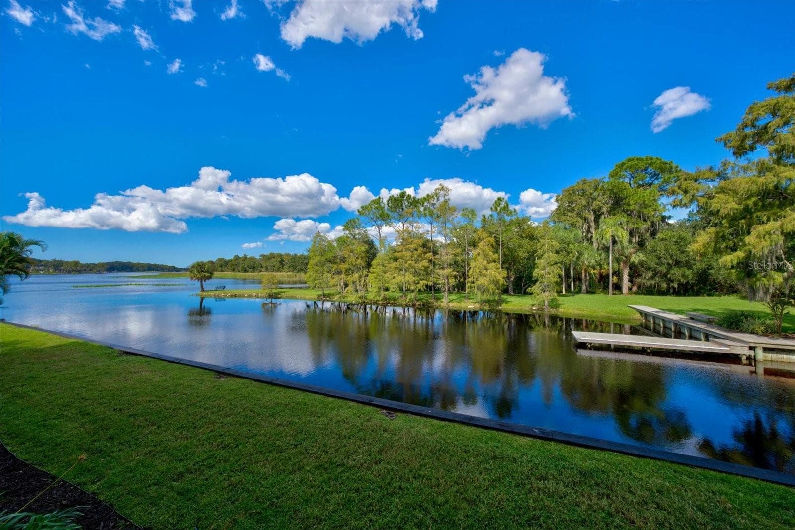 So Peaceful! - 2056 COVE TRCE, PALM HARBOR
