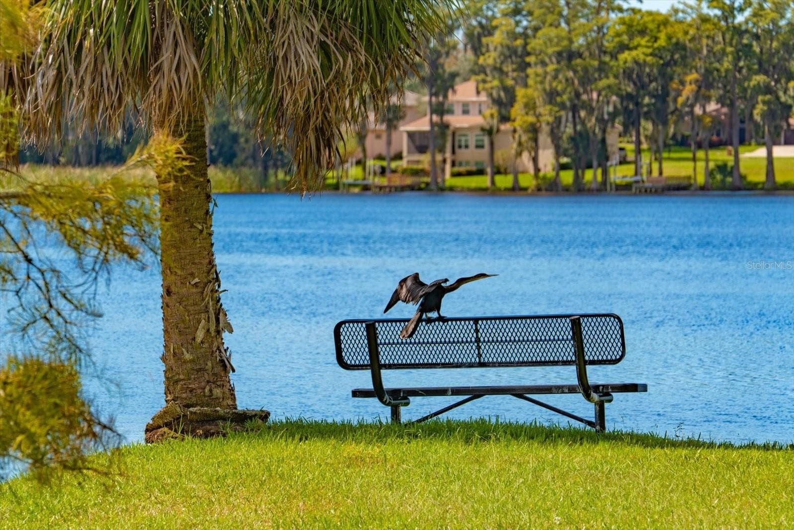 Image having Brooker Creek Bird Sanctuary as your neighbor! - 2056 COVE TRCE, PALM HARBOR