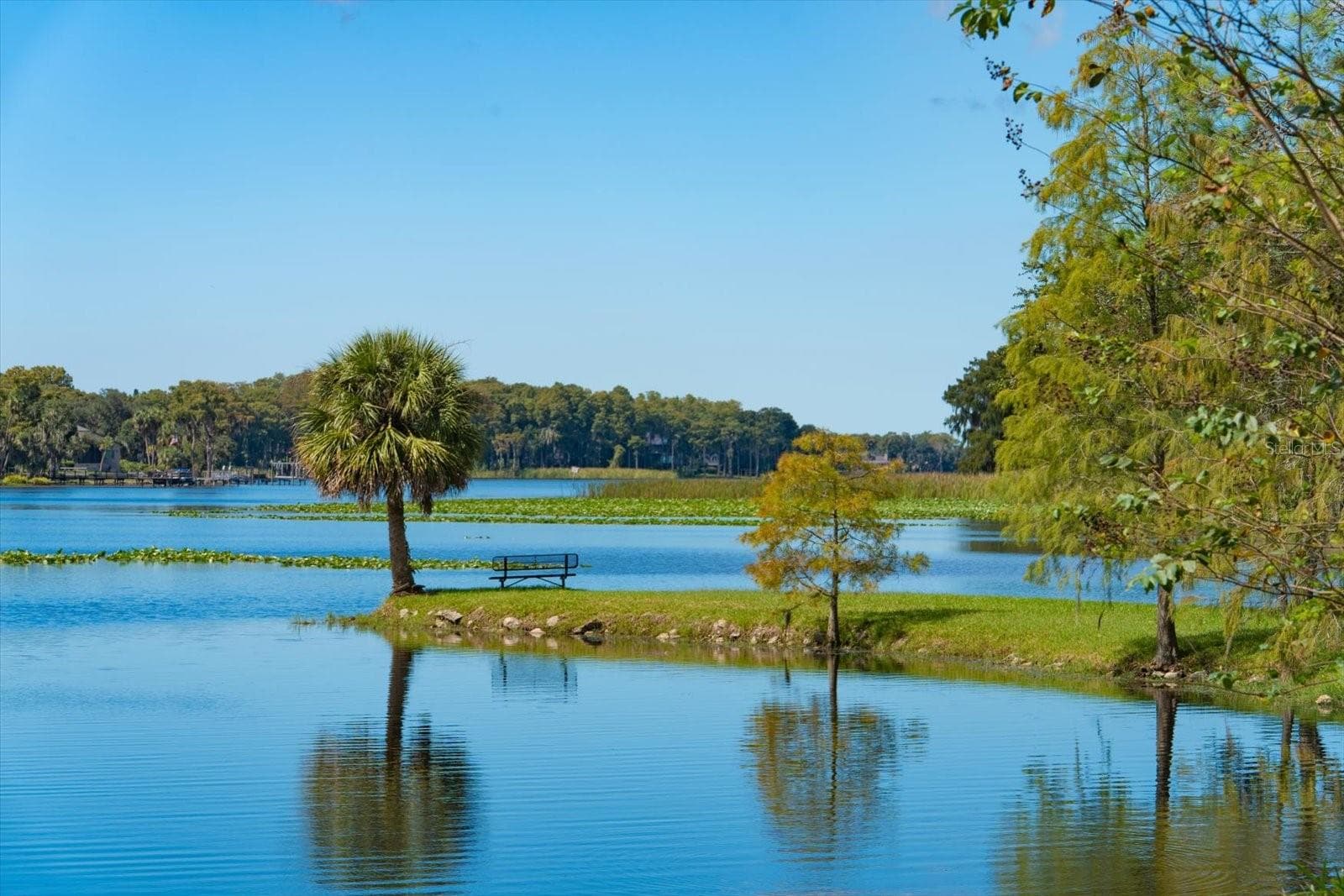 Picnic Anyone? - 2056 COVE TRCE, PALM HARBOR