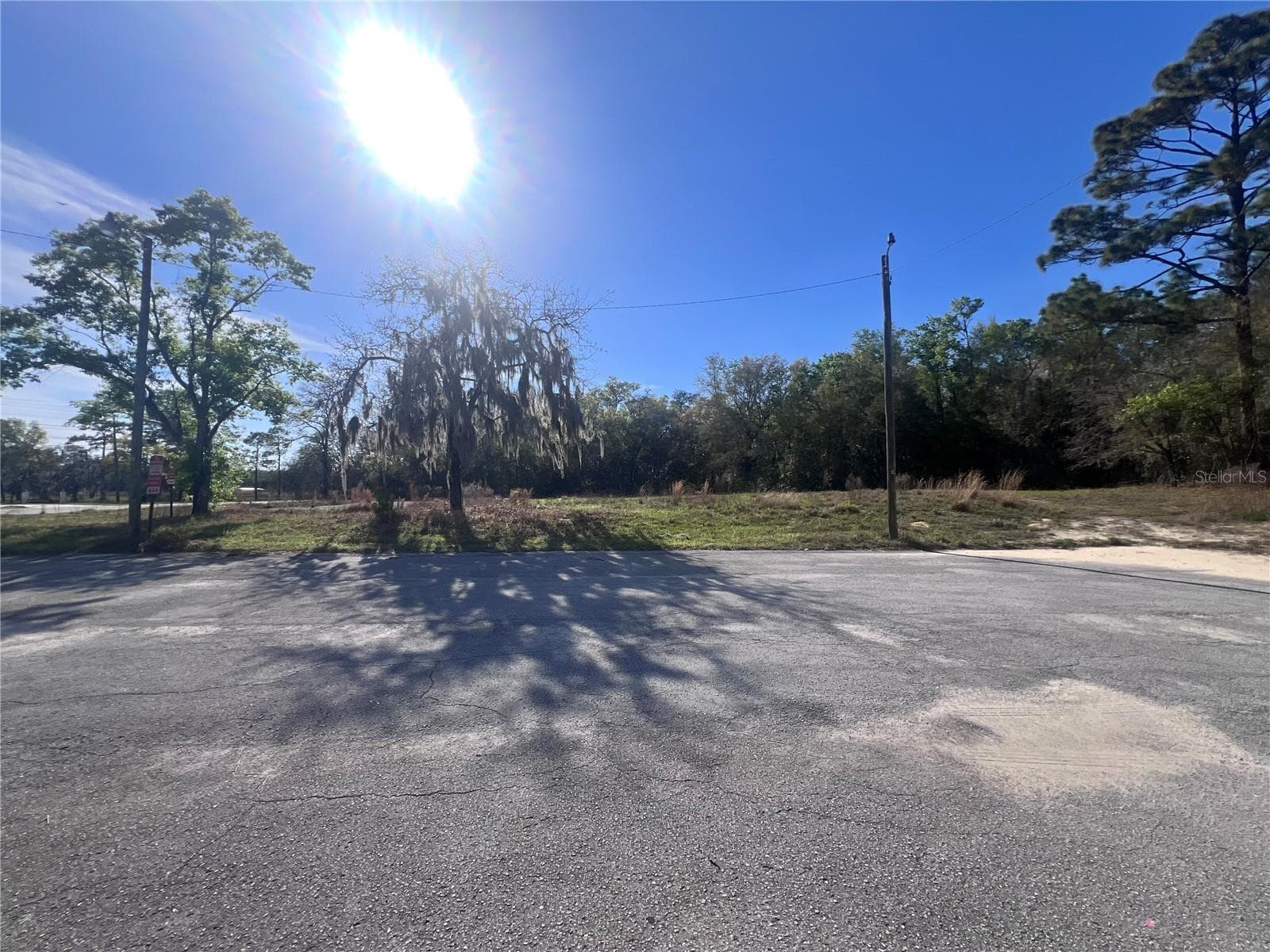 Assembly Building at 3975 W GROVER CLEVELAND BLVD, HOMOSASSA, photo 13 of 62