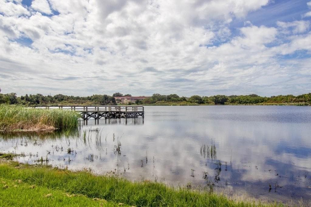 Condominium at 2455 FINLANDIA LN #23, CLEARWATER, photo 51 of 53