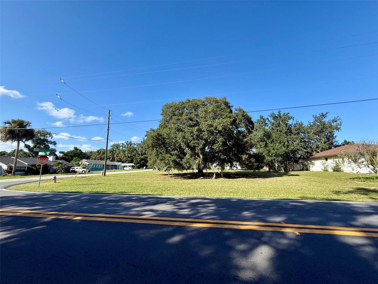 Land at WAYCROSS AVE, EUSTIS, photo 2 of 4