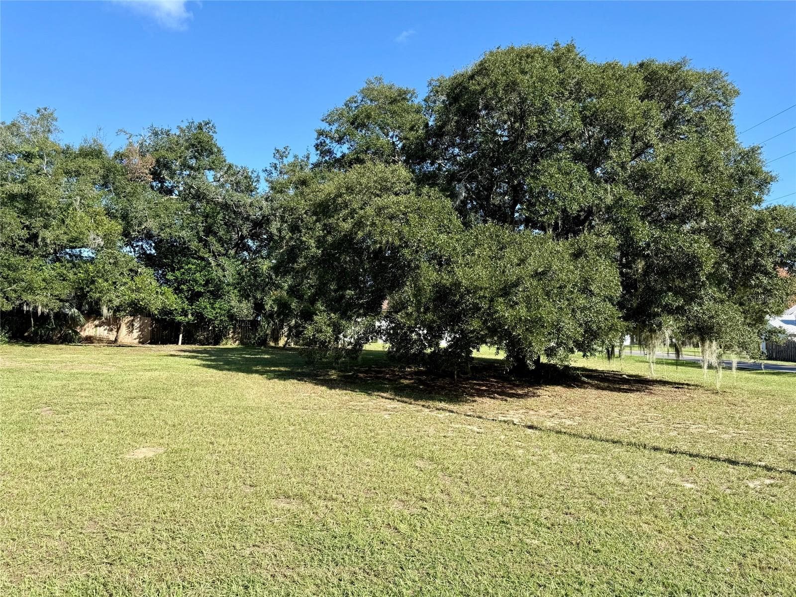 Land at WAYCROSS AVE, EUSTIS, photo 3 of 4
