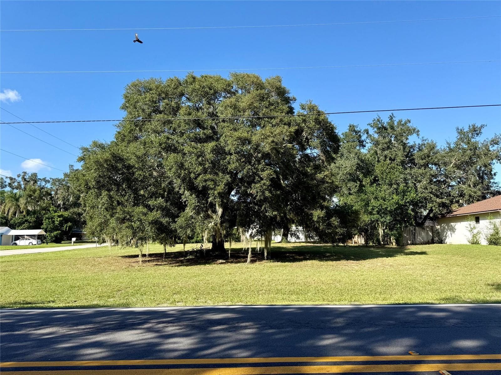 Land at WAYCROSS AVE, EUSTIS, photo 4 of 4