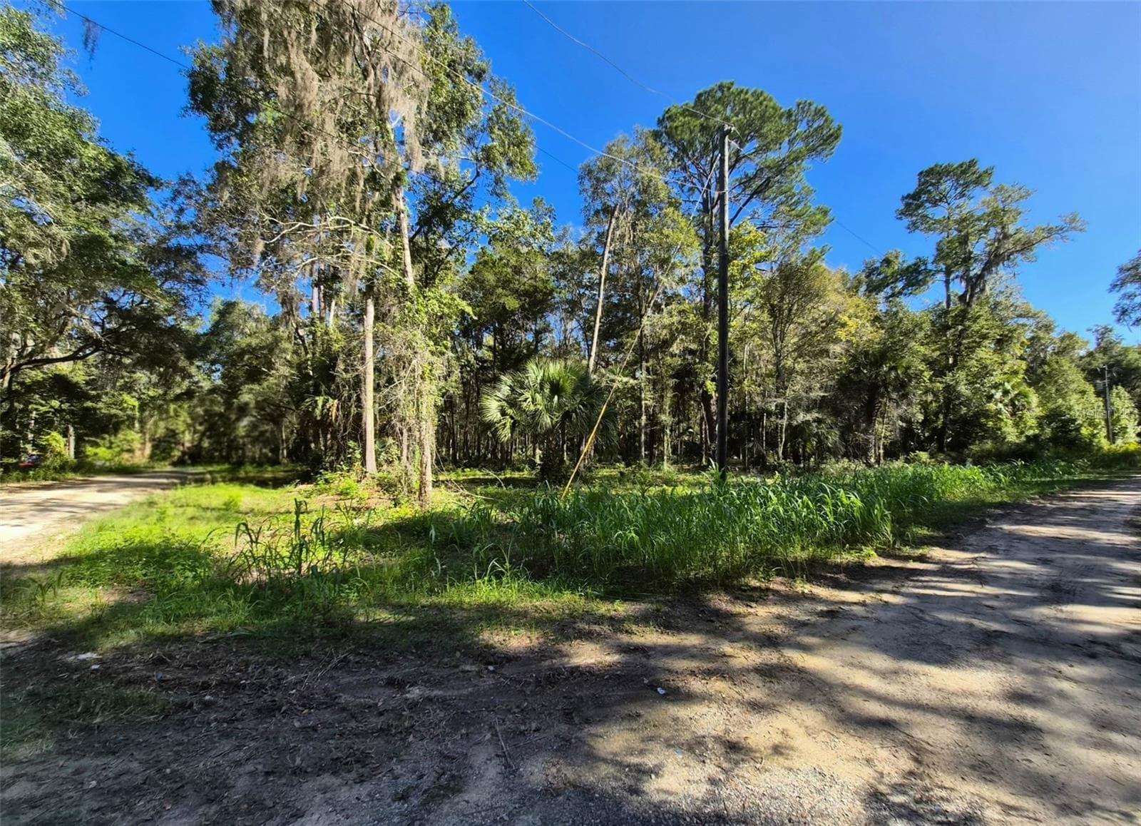 Land at 0 SW 16TH PL, OCALA, photo 2 of 3