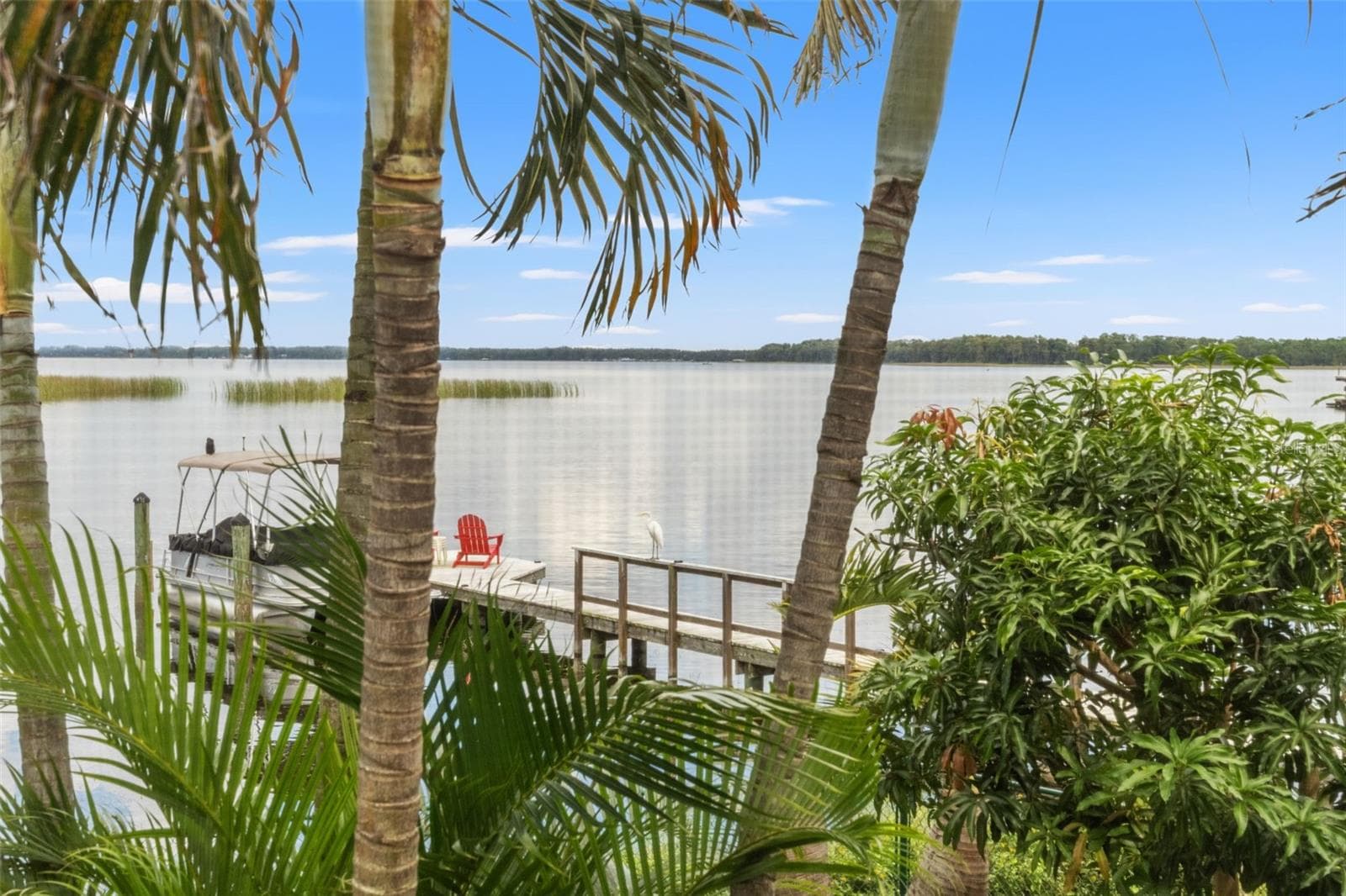Picture yourself enjoying this peaceful waterfront setting, where palm trees frame expansive views across the lake. The private dock provides convenient access to the water, while the surrounding tropical landscaping adds to the relaxed atmosphere. - 13 FRESHWATER, PALM HARBOR