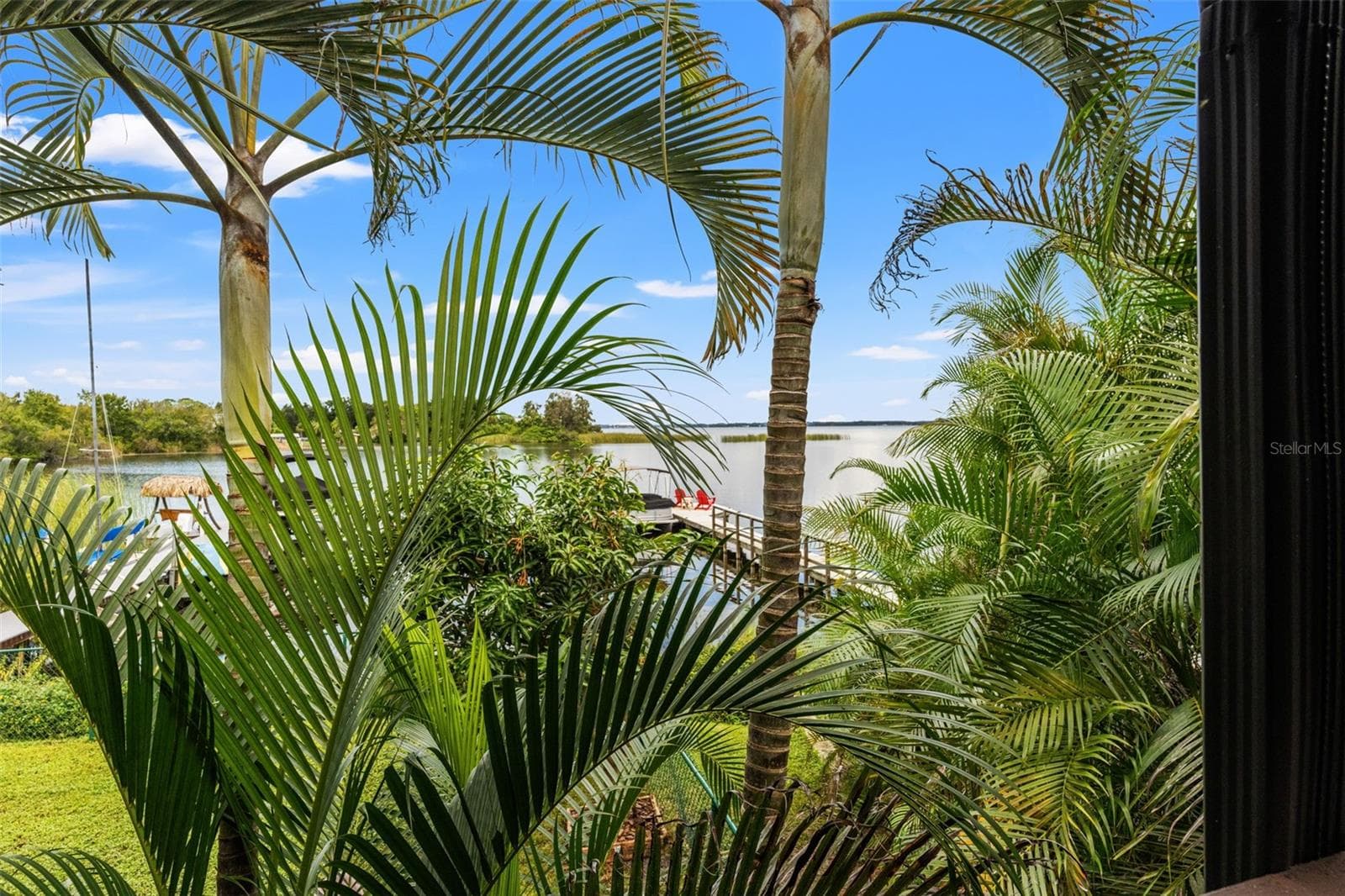 A little tropical paradise! Mature palms frame views of the water and private dock, creating a lush, secluded atmosphere that makes this waterfront property feel like a retreat. - 13 FRESHWATER, PALM HARBOR