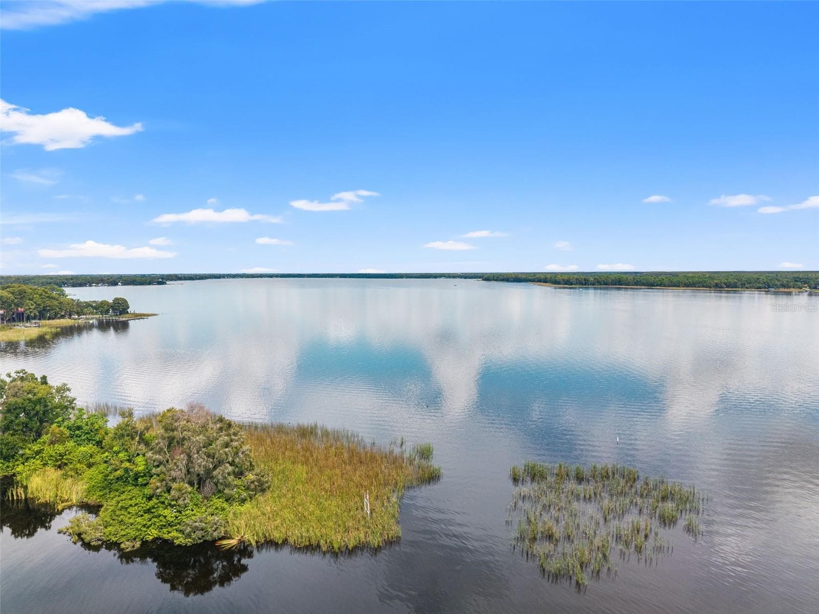 Enjoy the beauty of a waterfront neighborhood where mature trees, natural vegetation, and private docks line the shoreline. This wider aerial perspective highlights the property's position beside a wooded area, adding to its secluded feel while remaining part of an established residential setting. - 13 FRESHWATER, PALM HARBOR