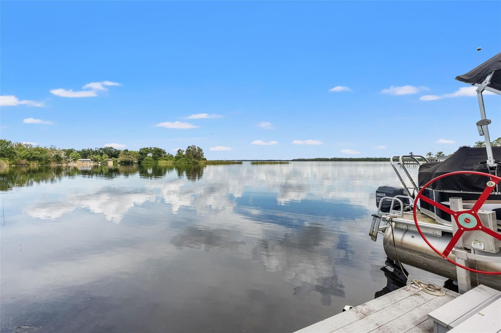 Beautiful reflections dance across the lake in this wide-open waterfront view. Natural vegetation along the shoreline adds to the peaceful setting, while the dock provides a front-row seat to the surrounding scenery. - 13 FRESHWATER, PALM HARBOR