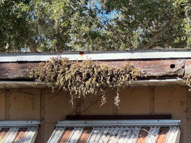 Mobile Home at 4825 VICTORIA AVE, SARASOTA, photo 25 of 29