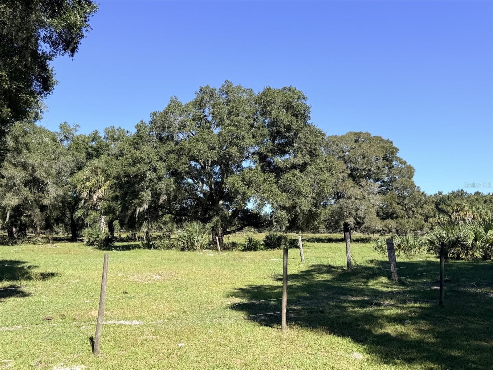 Single Family Residence at 4251 NW 100TH AVE, CHIEFLAND, photo 17 of 24