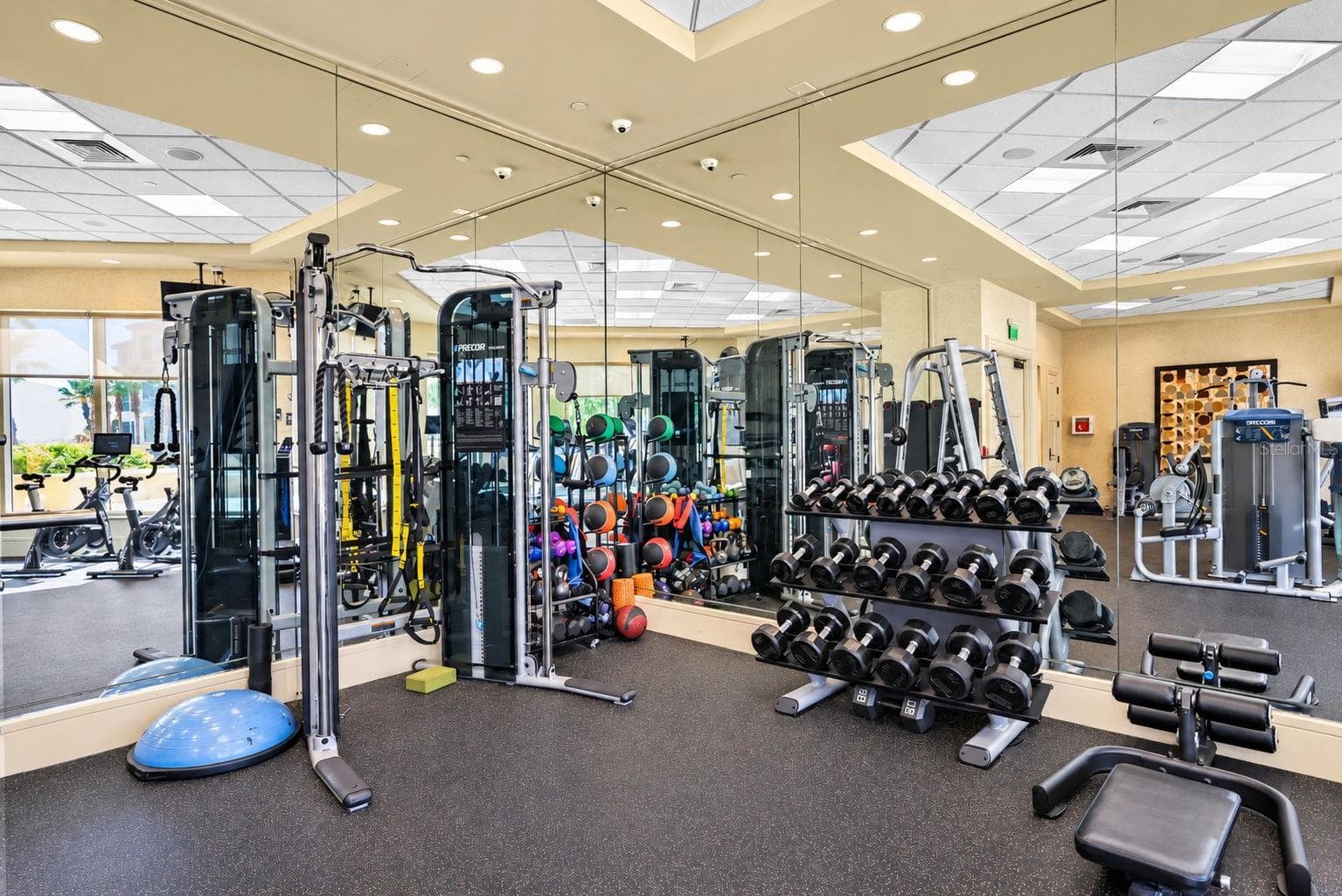 Weight Room - 5823 BOWEN DANIEL DR #704, TAMPA