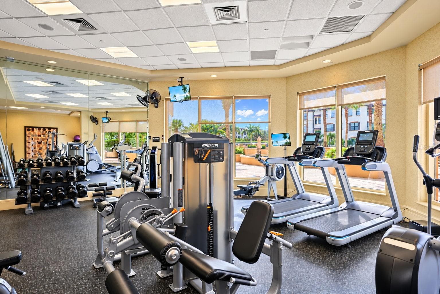 Weight Room - 5823 BOWEN DANIEL DR #704, TAMPA