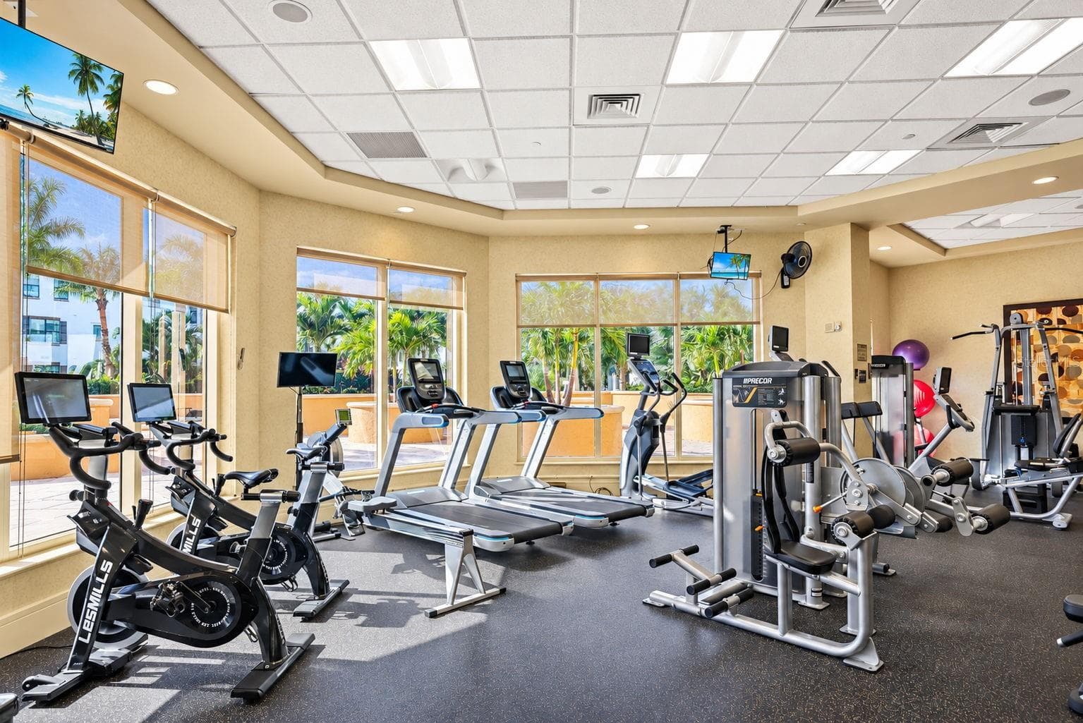 Weight Room - 5823 BOWEN DANIEL DR #704, TAMPA