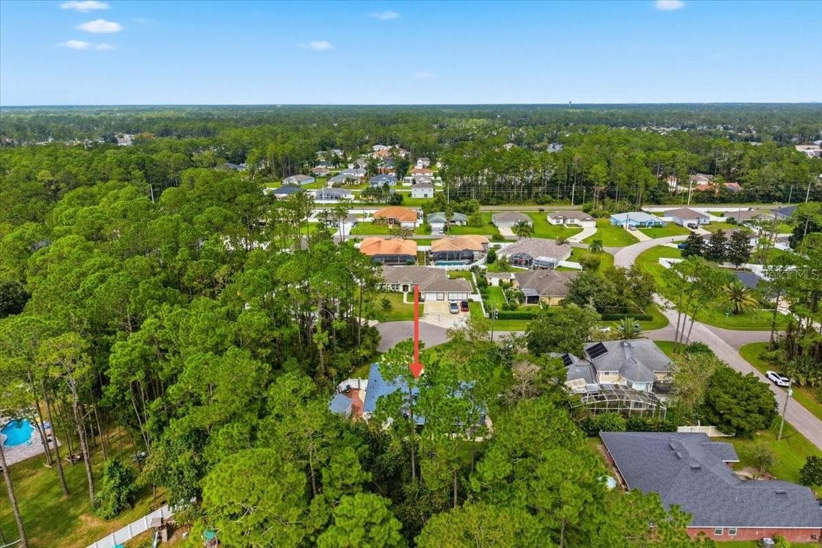 SURROUNDING TREES - 3 RYMM PL, PALM COAST