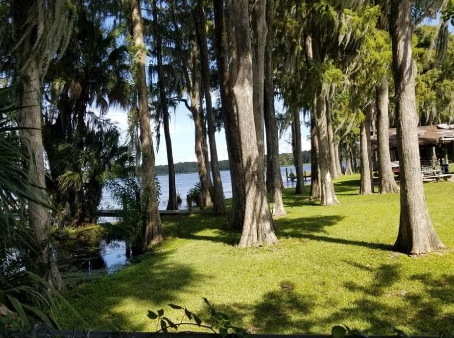 Condominium at 3109 MISSION GROVE DR #D, PALM HARBOR, photo 57 of 60