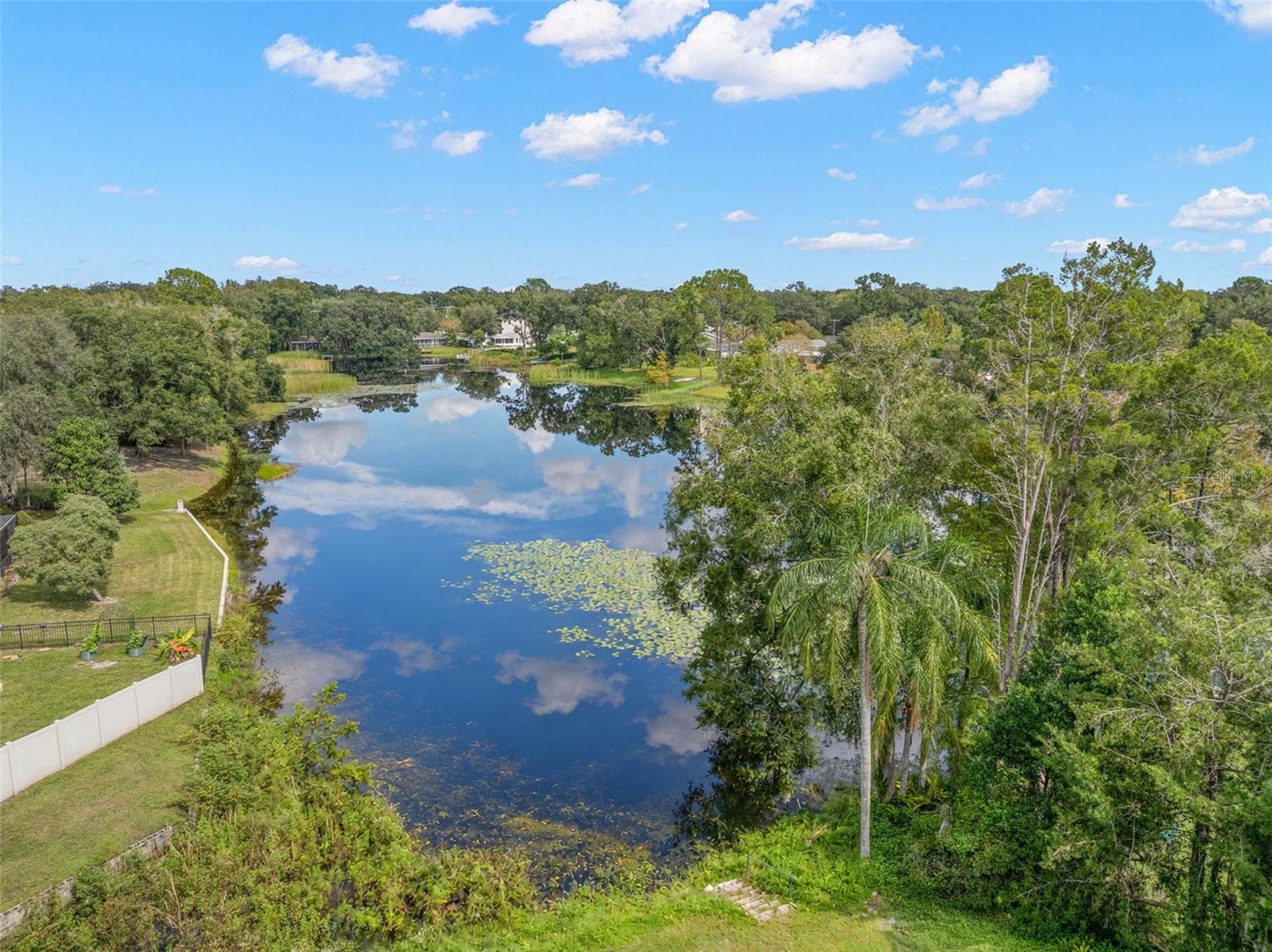 Enjoy the natural beauty of a peaceful waterfront setting, where the pond stretches beyond the backyard, framed by mature trees, lush greenery, and beautiful reflections on the water. - 3013 GRAHAM LN, TAMPA