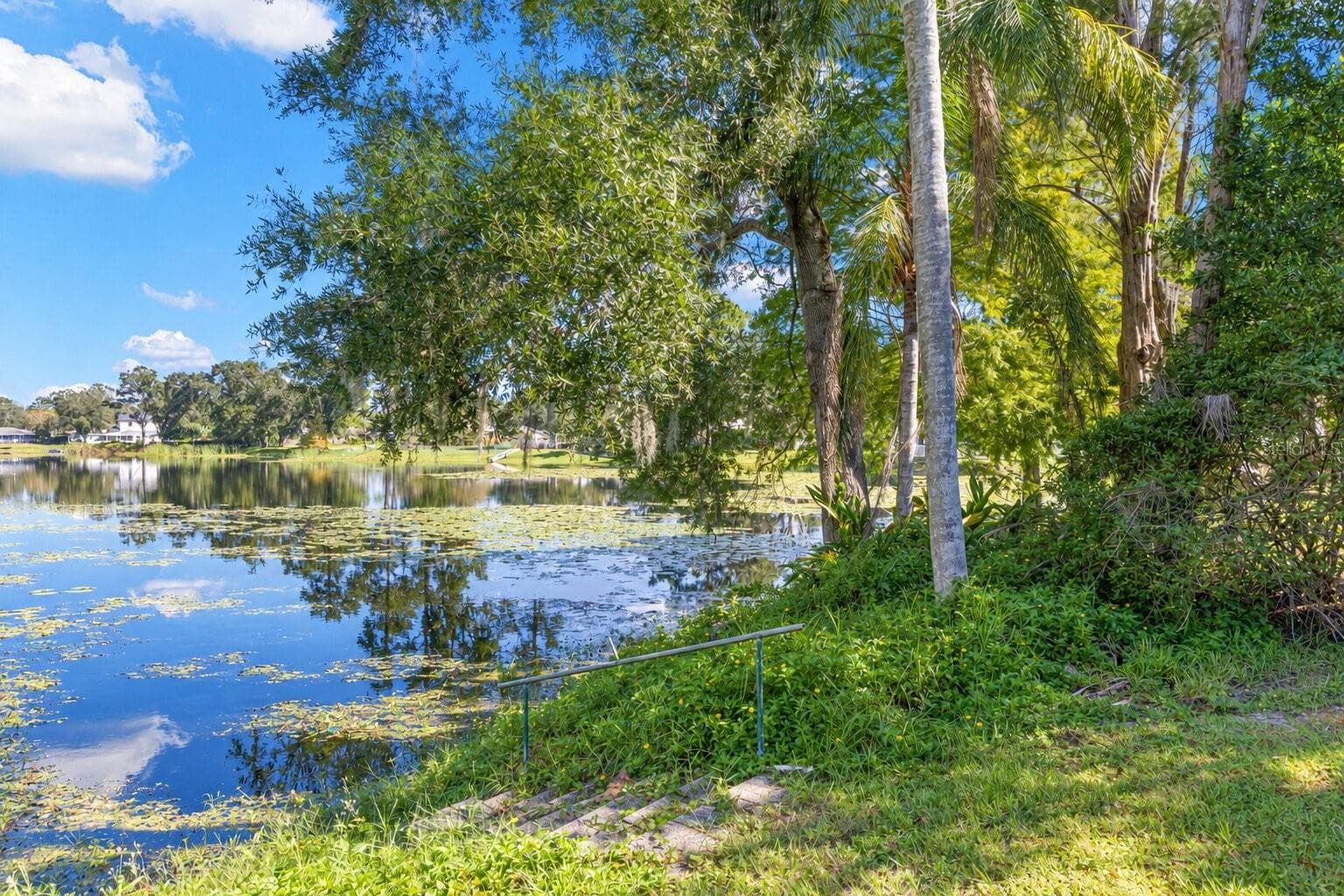 Discover a peaceful waterfront retreat right in your backyard! Mature trees and tropical greenery frame the picturesque pond, where shimmering reflections and natural surroundings create a beautiful setting. Stone steps with a handrail lead toward the water's edge. - 3013 GRAHAM LN, TAMPA