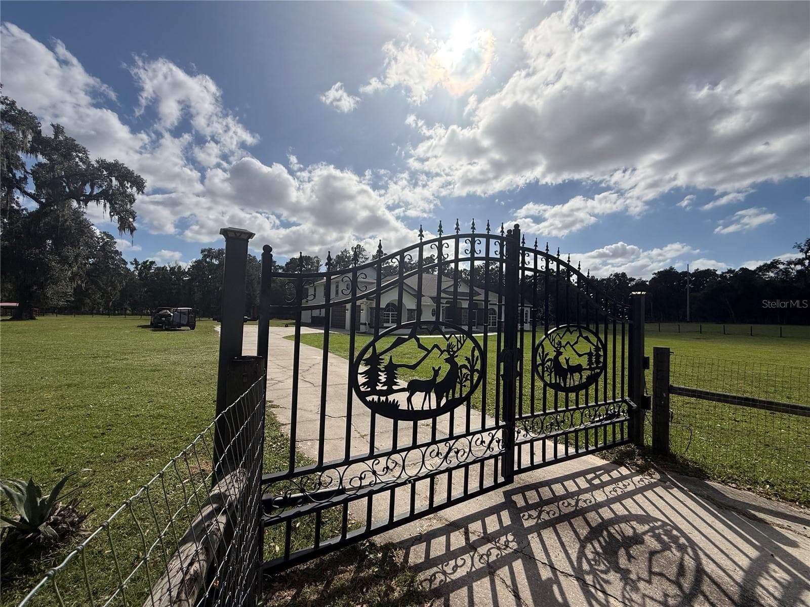 front gate - 25406 LADYHAWK LN, BROOKSVILLE