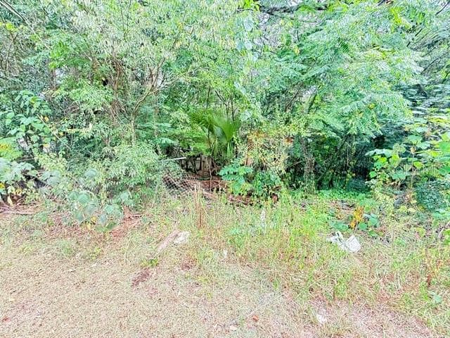 Single Family Residence at 5231 SE 29TH CT, OCALA, photo 5 of 5