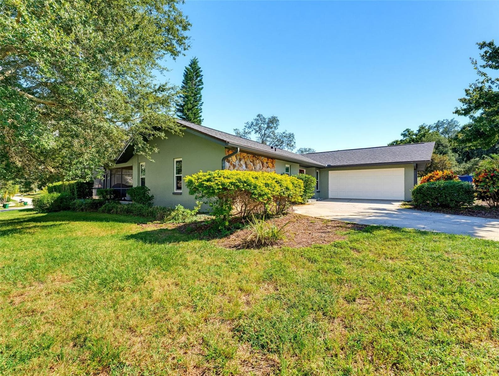 Side yard - 3 SUMMIT LN, SAFETY HARBOR