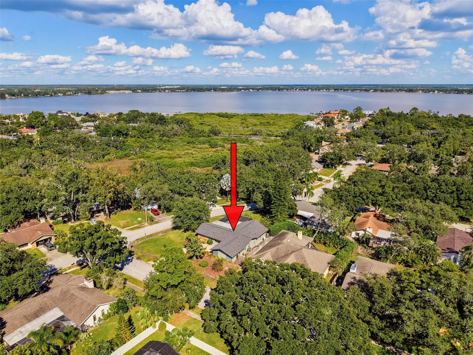 Sky View neighborhood view - 3 SUMMIT LN, SAFETY HARBOR