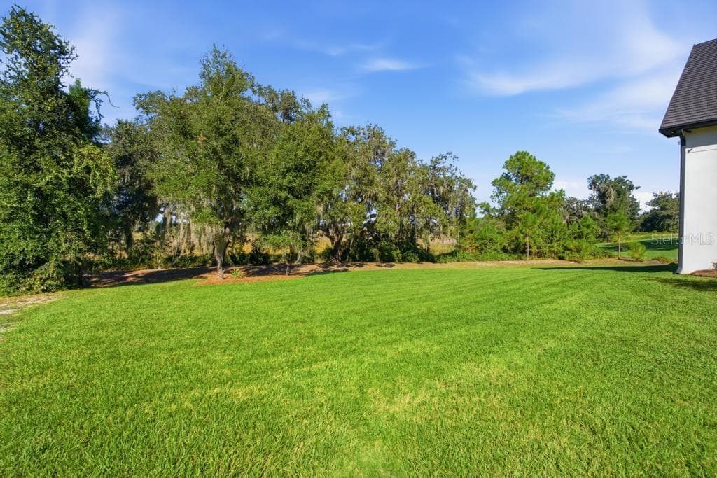 Plenty of room to roam - 467 LONG AND WINDING RD, HOWEY IN THE HILLS