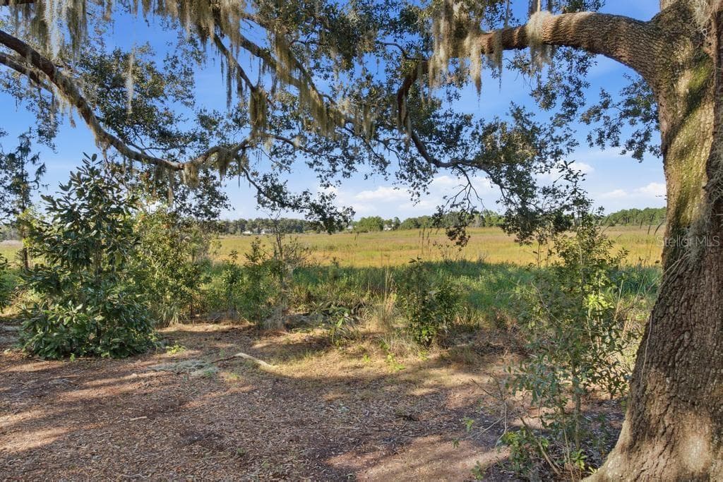 Water view from back of home of Little Lake Everglades! - 467 LONG AND WINDING RD, HOWEY IN THE HILLS