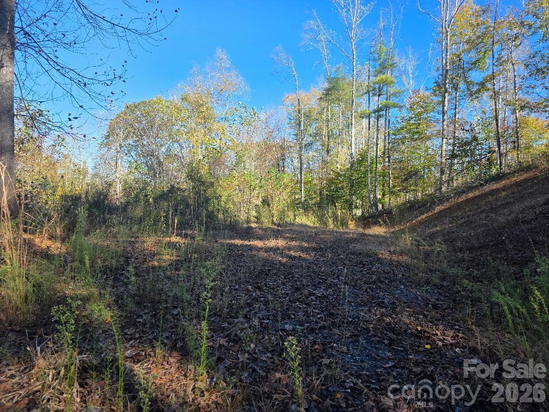TBD Buckeye Hollow Road