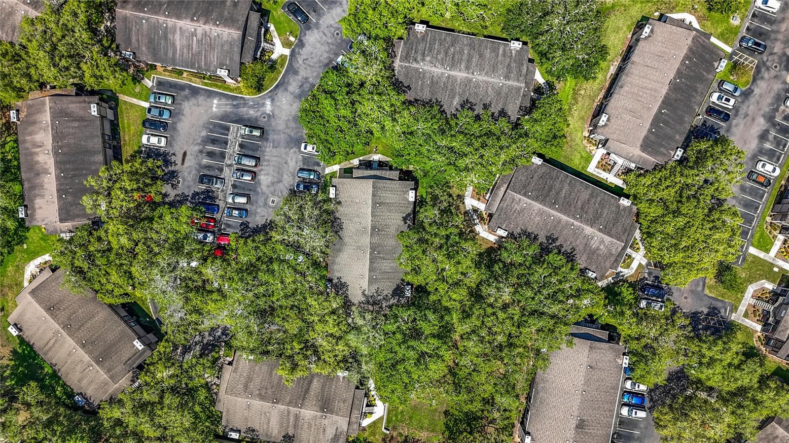 Overview - 4022 TUMBLE WOOD TRL #101, TAMPA