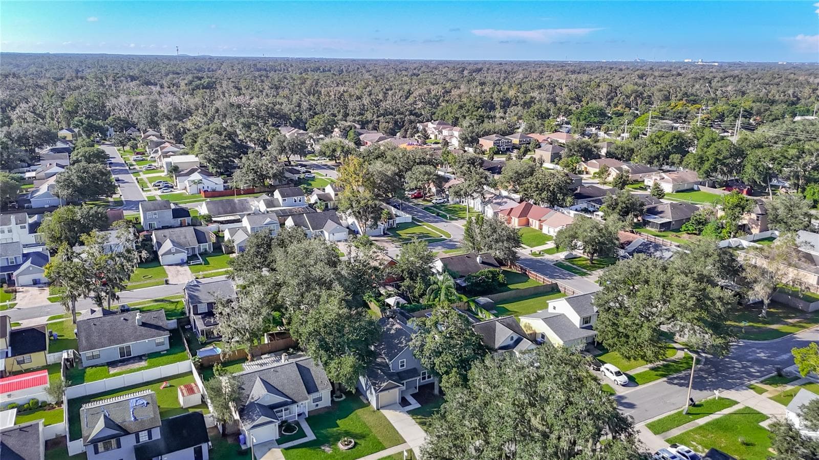 Single Family Residence at 607 BREEZEWAY CT, BRANDON, photo 51 of 54